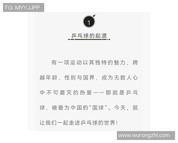 乒乓球的魅力与团结精神：深入解析北京乒乓球队的协作之道