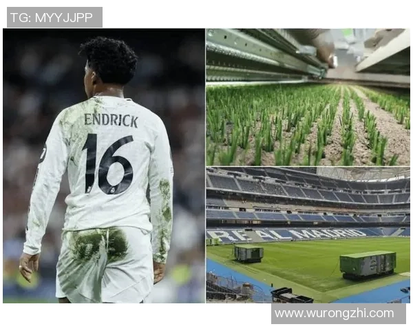 足球明星外号水爷的传奇故事与球场背后的奋斗历程 足球明星外号水爷的传奇故事与球场背后的奋斗历程