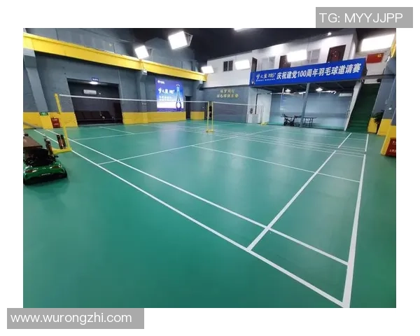 南京羽毛球队如何通过控制革新提升竞技水平与团队协作能力