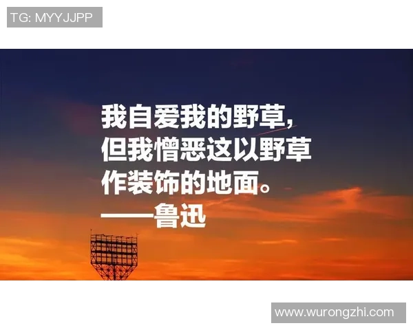 足球巨星的智慧与激情50句经典名言激励你我前行